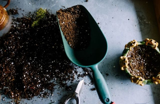 A garden trowel with some soil in it.